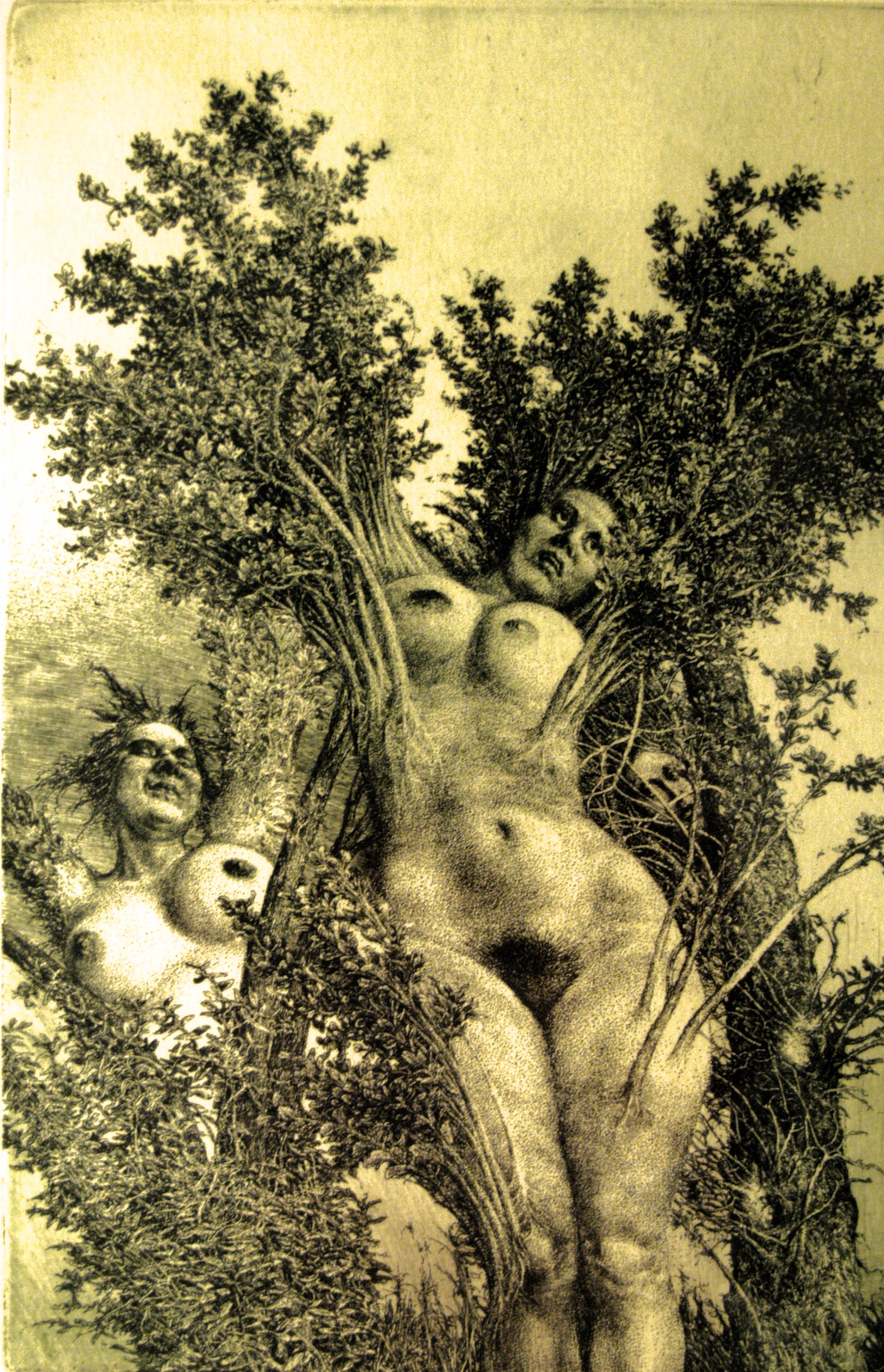Orpheus II